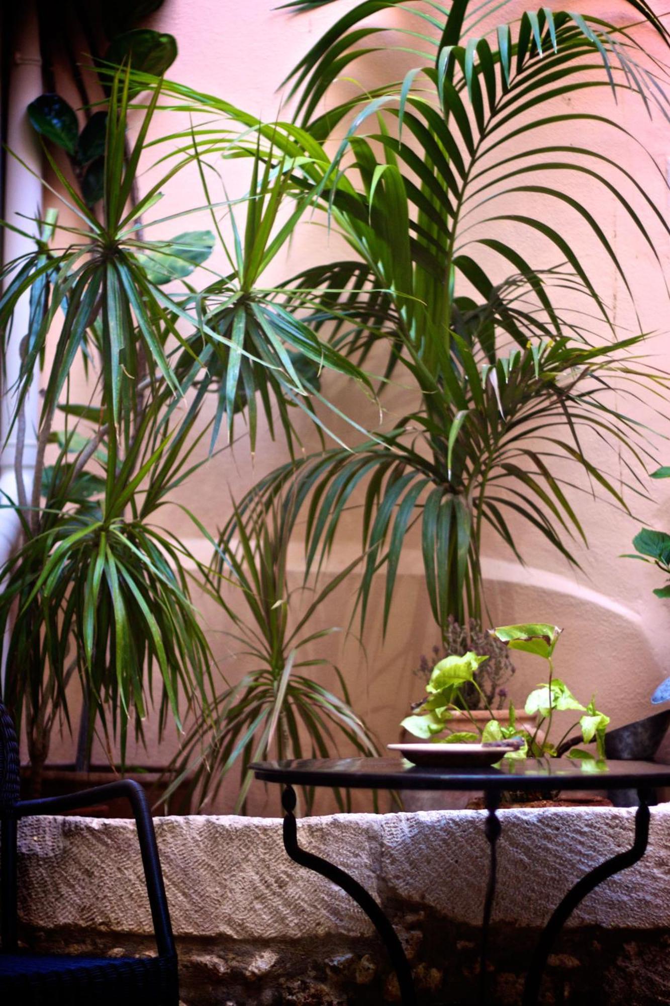 Casa Dei Delfini Hotell Rethymno Exteriör bild